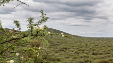 Paisaje Quilino